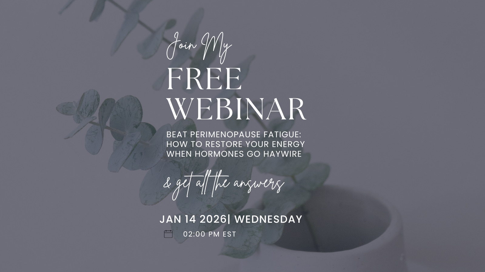 The Jan 14th workshop on perimenopause energy